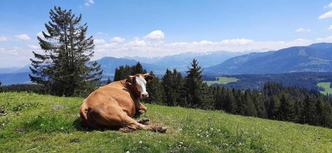 Ferienwohnung Boeck, Wengen Im Allgaeu Weitnau Bagian luar foto