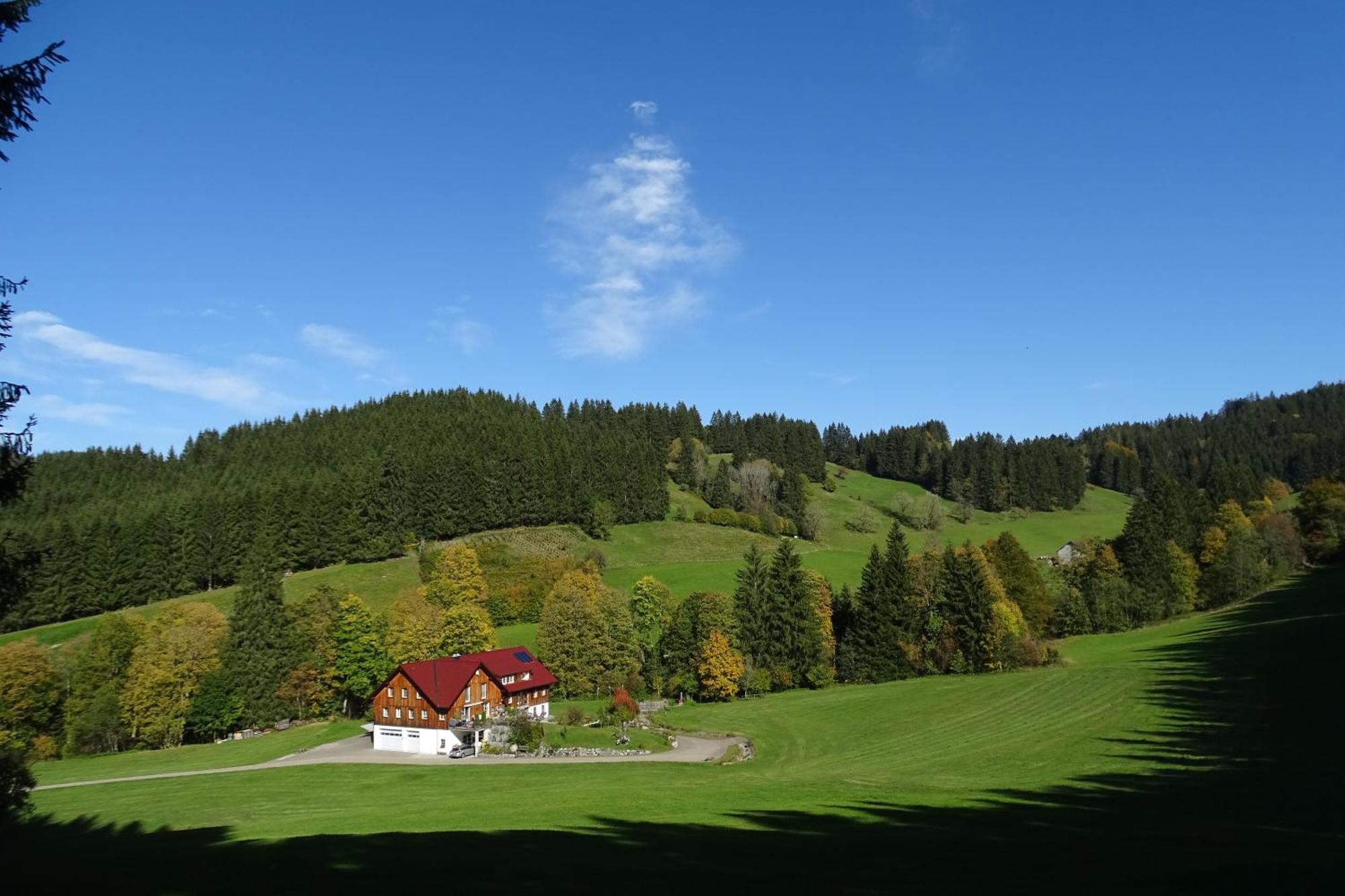 Ferienwohnung Boeck, Wengen Im Allgaeu Weitnau Bagian luar foto